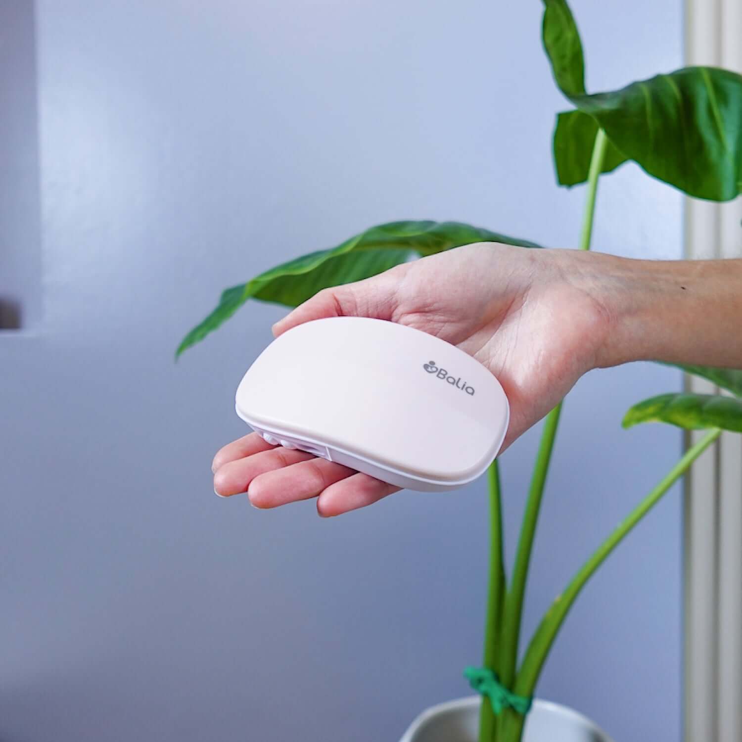 Masajeador de lactancia Balia en mano, ideal para mamás lactantes y alivio de congestión mamaria.