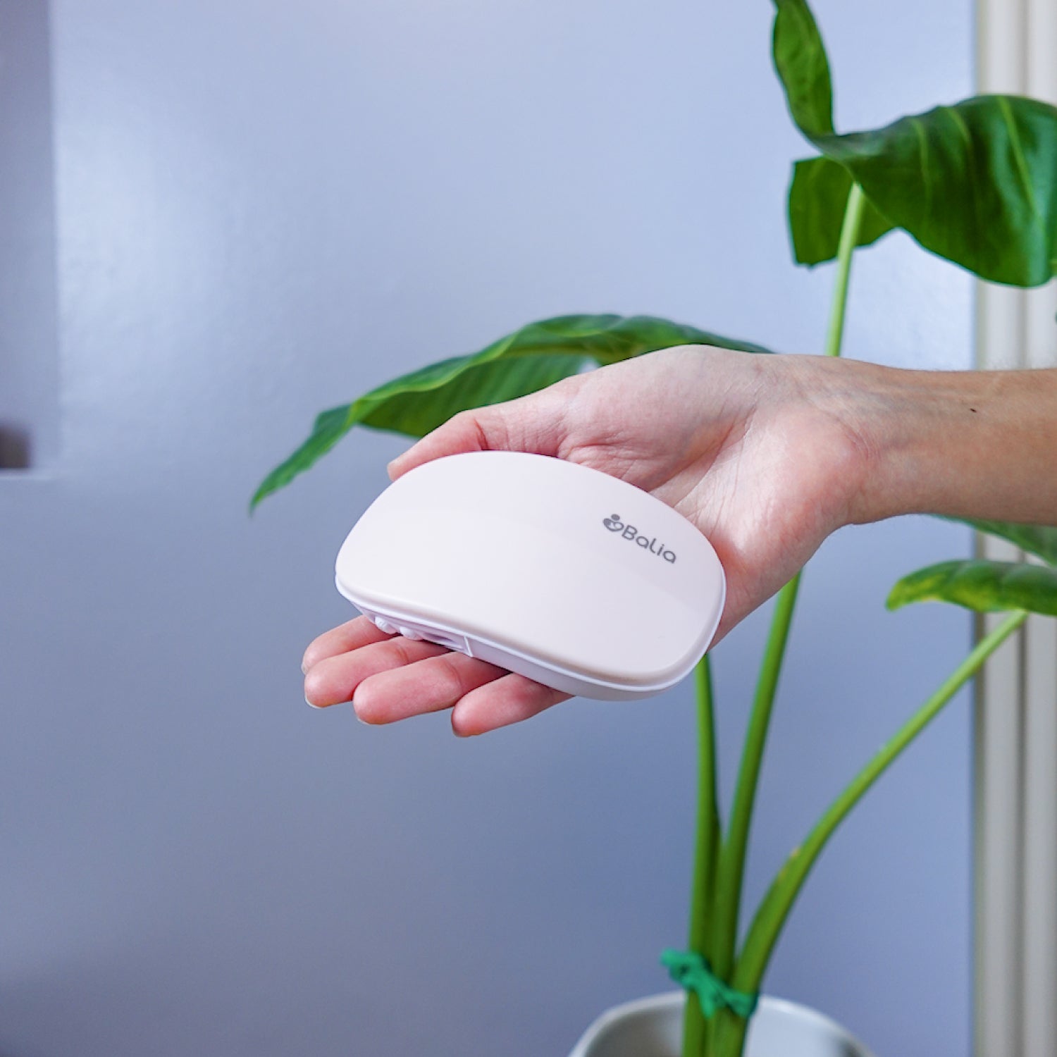 Pack lactancia en calma: Extractor de leche inalámbrico + Masajeador de lactancia + 7 Bolsitas de REGALO + Envío Gratis